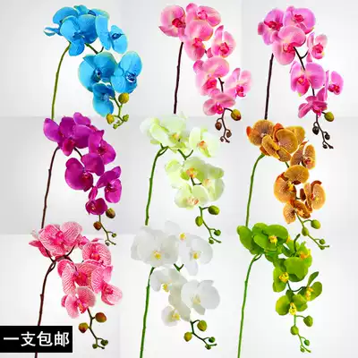 Glue hand feeling fake flower Phalaenopsis simulation flower single flower living room floor silk flower decoration Flower Home wedding flower