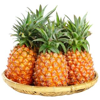 [100% positive rating] Hainan Golden Diamond Pineapple