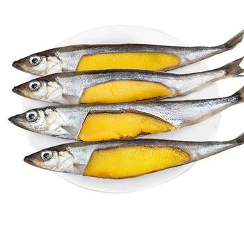 Thousands of people repurchase! spring fish full of seeds super extra large size