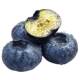 Blue plum fruit king shunfeng