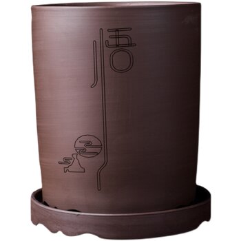 Fine purple sand flower pot with breathable asparagus and orchid with mop