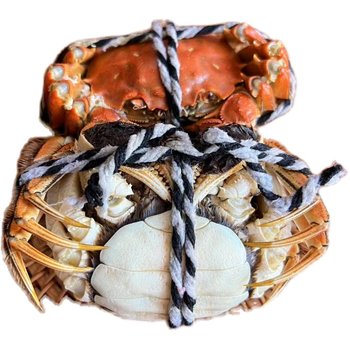 Extra large fresh hairy crabs of high quality
