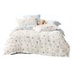 Luolai Class A Tencel Double Soft Yarn Student Four-piece Set