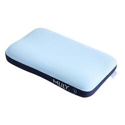Dream Lily Quick Charge Zero Pressure Wrinkle-Fighting Memory Foam Pillow for Side Sleepers, Non-Pressing Face Pillow Core