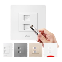 Bull Wire Network Wire Ligne de téléphone Deux en un (1) Type de panneau 86 Type Wall Concealed home Weak Phone Network Panel