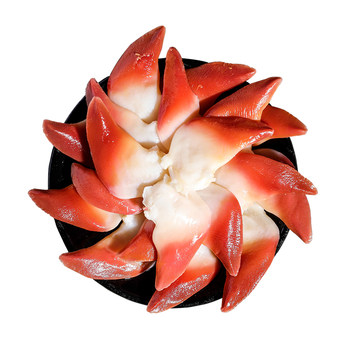 Canada imports fresh arctic clams, fresh aquatic clams