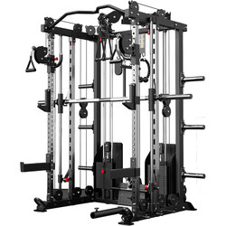 Gonas C10 gantry commercial fitness strength bird Smith machine multi-functional comprehensive training equipment