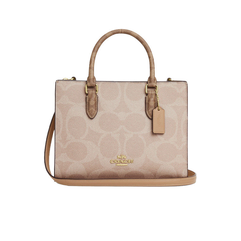Coach Printed Handbag Crossbody Bag