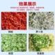 Multifunctional Chili Grinder, Vegetable Shredder, Household Stainless Steel Vegetable Cutter, Fruit and Vegetable Crusher, Pig Feed Grinder