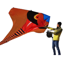 Weifang Kite Adults Special Large High-end Professional New Triangle Kite Super Long Tail Breeze Easy-Flying Snake Kite