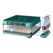 Luding Chicken Incubators Small Home Hatching Chicks A Machine Fully Automatic Intelligent Incubator Hatching Egg Hatching Box