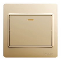 Chint switch panel champagne gold type 86 7I single open single control USB household one two double control three power socket