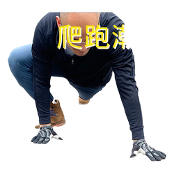 완전한 손가락 크롤링 장갑 피트니스 스포츠 여성 자전거