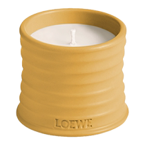 (Chinese Valentines Day gift) LOEWE wasabi fragrance scented candle plant home wedding gift