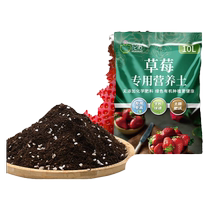 Strawberry special nutrient soil balcony strawberry fertilizer special fertilizer strawberry soil potted strawberry seedling soil planting soil