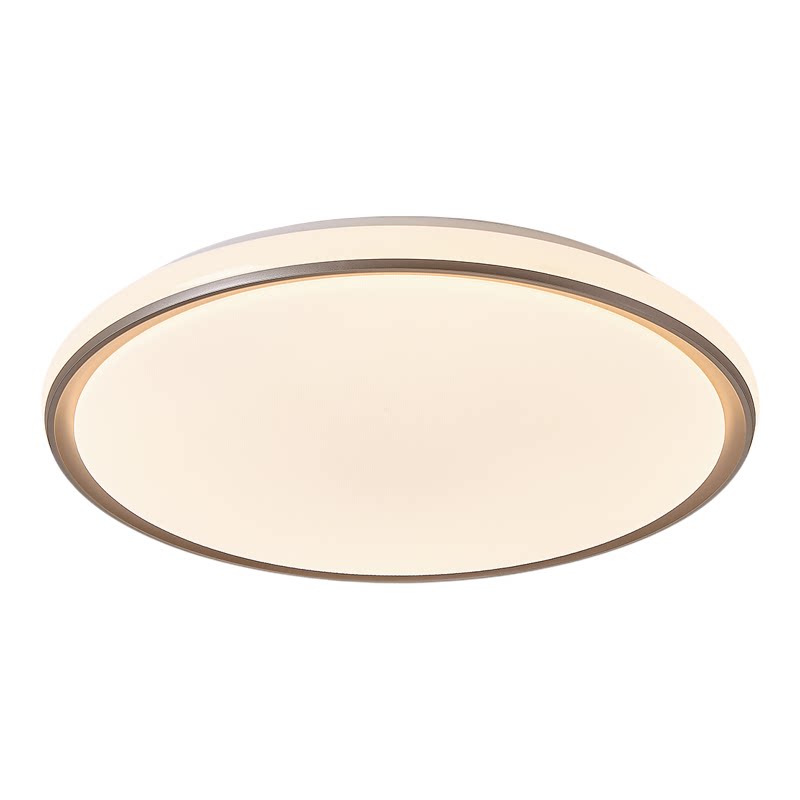 Pasha full spectrum ceiling light bedroom living room dining room light