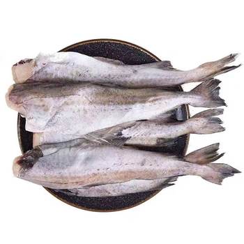 Fresh frozen headless 10 jin jin is equal to 0.5 kg deep sea whole pollack