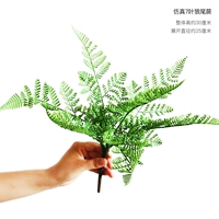 Симуляция 7-листья волчьего хвоста папоротник