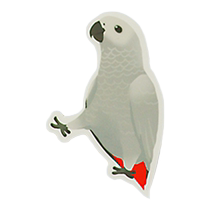 one thousand Nautbird House Original Small Crowddesign Cute Parrot Perimeter Sticker Cartoon Xuanfeng Cockatoo Parrot Handbill Decoration Sticker