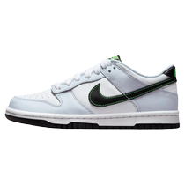 Nike Nike official boys and girls DUNK big childrens sports shoes autumn low-top sneakers rubber sole grip FB9109