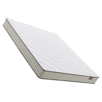 Gujia Home antibacterial and anti-mite full-net spring youthful flying mattress