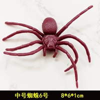 Кофе паук
