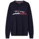 Tommy men's pure cotton embroidered crew neck sweater