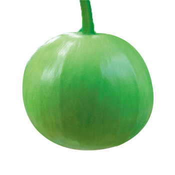 Apple Bagging Plastic Bags for Fruits, Waterproof, Rainproof, Bird-Proof, Insect-Proof, Special Fruit Bags, Agricultural Bags for Fruit Trees with Tie Wires