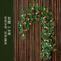 Victoria Buds и Cane Pink