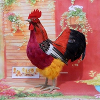 Петух №1 - рост 43* длина 40 - рыжий живот и желтые волосы на ногах