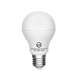 Special Discount Smart Life Smart Light Bulbs