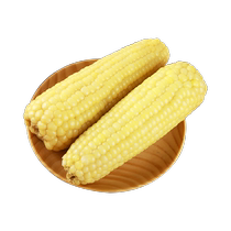 Tianqin Lilinet new season organic white waxy corn and sweet glutinous rice 8 pieces * 1 box sticky vacuum grains