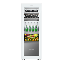 Kasati 251 Litres Light Year Series Ice Bar Office Drinks Tea Fridge Living Room Ultra Slim embedded in refrigerated cabinet