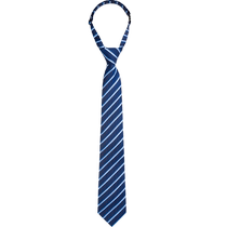 Heilan House Tie Mens 2024 New No-tie Blue Stripe Business Casual Necklace Flower Gift Box for Your Lover