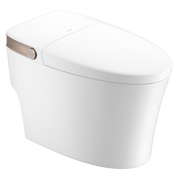 Wrigley fully automatic bathroom smart toilet