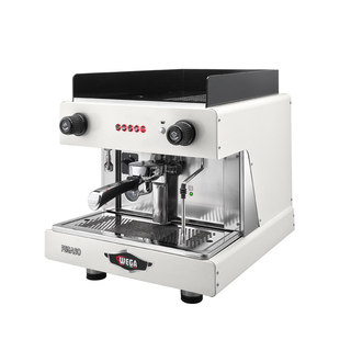 WEGA Picasso coffee machine double-head electronic control commercial