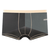 240 livres grande taille gros frère entièrement transparent sous-vêtements sexy à la mode pantalons pour hommes boxer-angle bas transparent culotte en maille