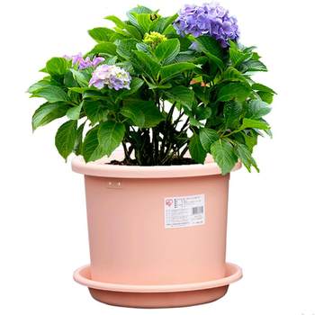 Alice resin root pot control gallon pot Alice deepot round mouth pothos hydrangea rose ຫມໍ້​ດອກ​ພາດ​ສະ​ຕິກ​