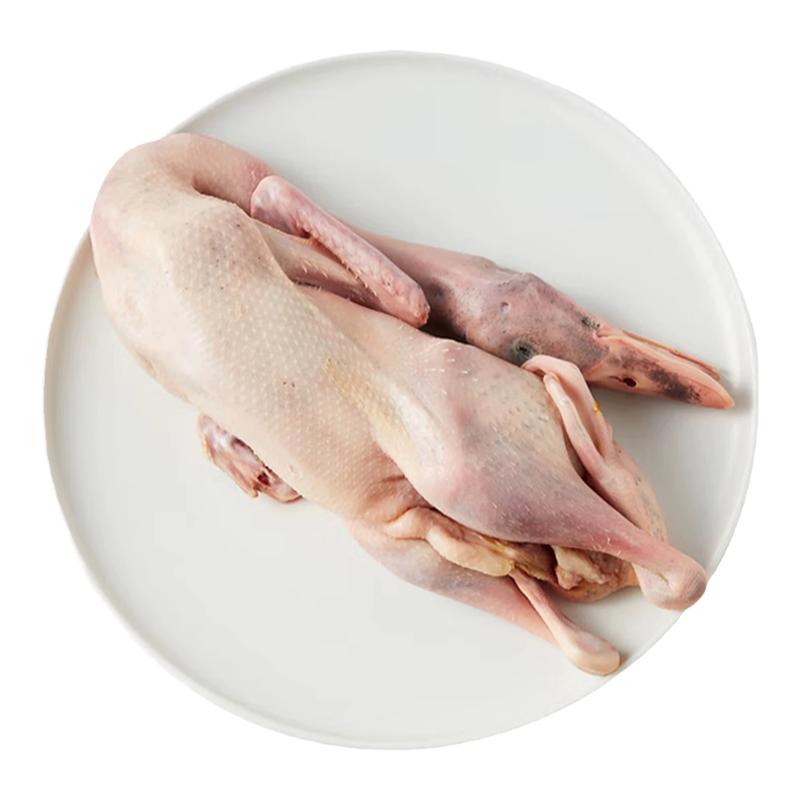 Yunling Freshly Killed Two Year Old Duck Shelduck Fresh