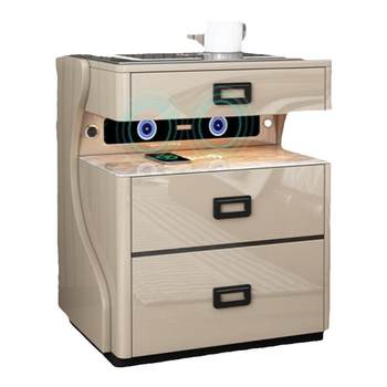 Tiger home office fingerprint safe