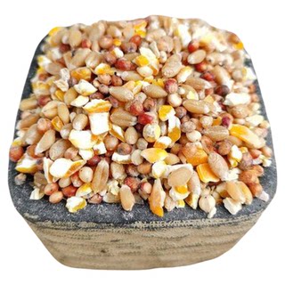 Chicken food mixed with sorghum, wheat and chopped corn
