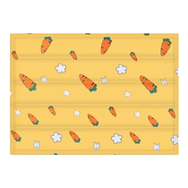Pet Ice Mat Summer Cooling Cat Mat Mat Mat Bite-Resistant Dog Mat Sleeping Summer Sleeping Mat Dog Supplies
