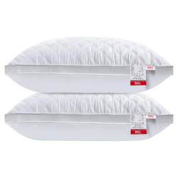 A pair of Antarctic pillow pillow core hotel cervical spine pillow to help sleep home single student dormitory whole head male