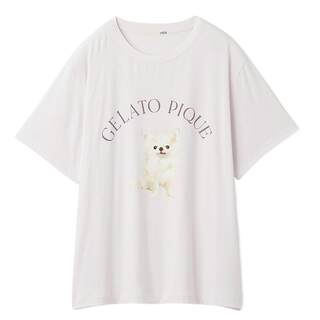 gelatopique chihuahua poodle t-shirt