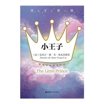 The Little Prince English original e-book