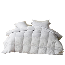Mercury Home Textiles Down Quilt Class A Antibacterial Goose Down Winter Quilt Warm Quilt Core Autumn and Winter Bedding 24 New Products