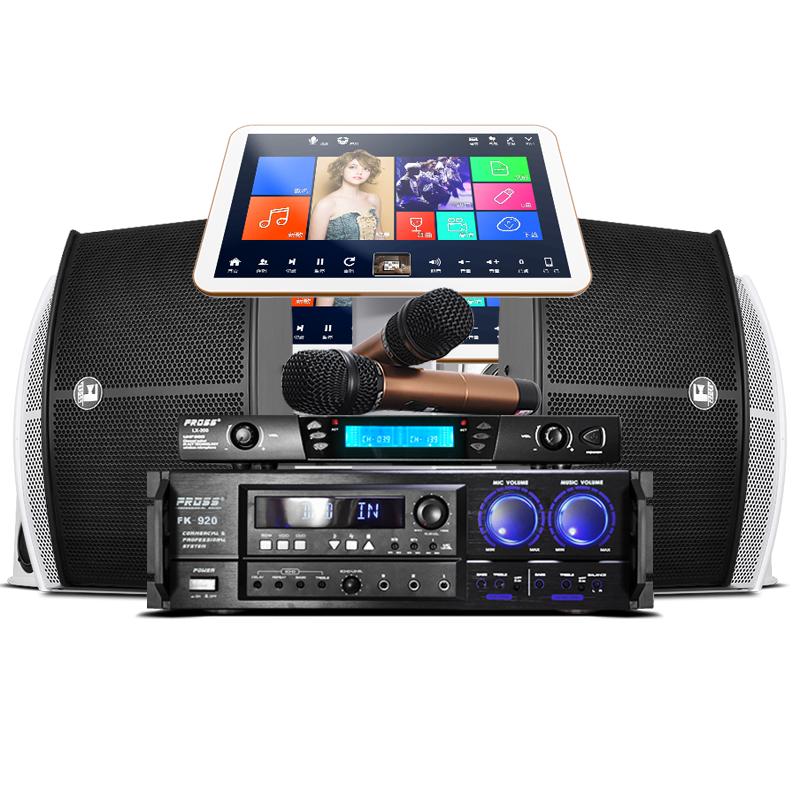 KTV audio set Fross/Feisi solid wood speakers