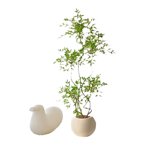 Nandina bamboo simulated green plant indoor living room bionic fake tree high-end light luxury flower balcony sofa large floor-standing potted plant