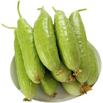 Freshly picked white jade cucumbers are crisp, tender and slightly sweet