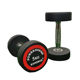 Red Label Studio Home Fitness Equipment Fixed Dumbbells